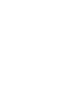 Terri Scheer Logo